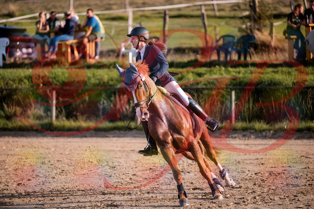 2026_10_03_Siefer-Hof_171212_Z81_09238062 | Professionelle Reitsport-, Turnier- und Eventfotografie von Robert Broda. Galerien mit ausgewählten und bearbeiteten Bildern direkt online ansehen und bestellen.