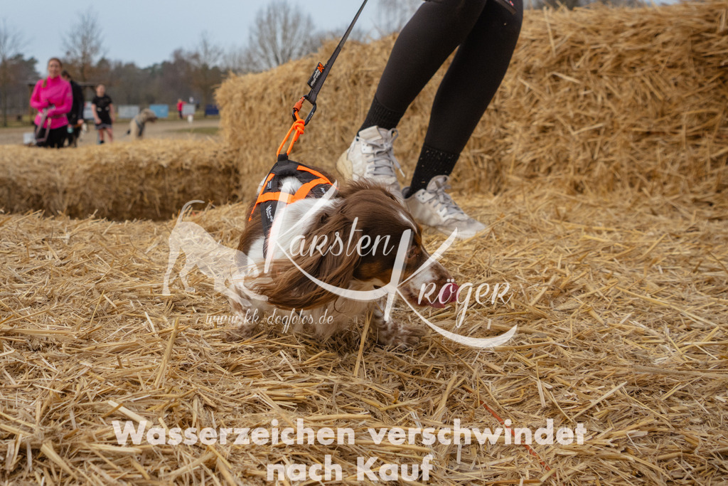 0917_ZZ97859 | kk-dogfotos