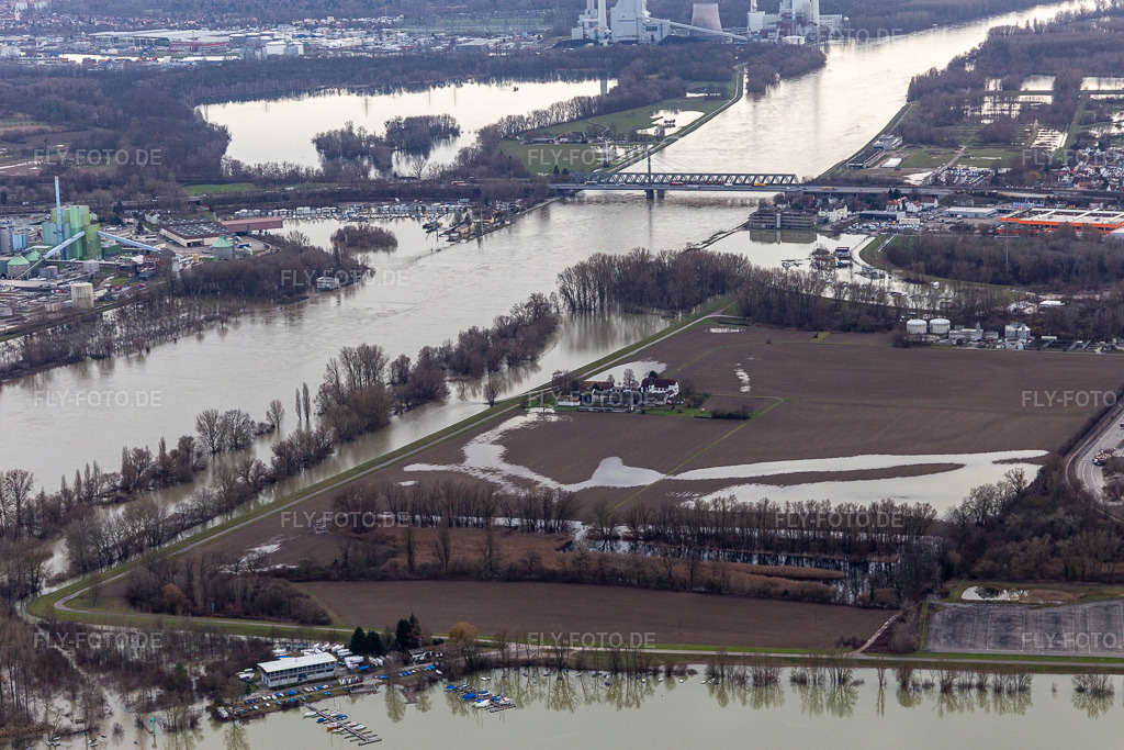 Luftbild: Hofgut Ludwigsau bei Rheinhochwasser im Ortsteil Maximiliansau in Wörth im Bundesland Rheinland-Pfalz in Deutschland. Foto: IMG_124239.jpg vom 04.02.2021 durch Werner Riehm/FLY-FOTO.de