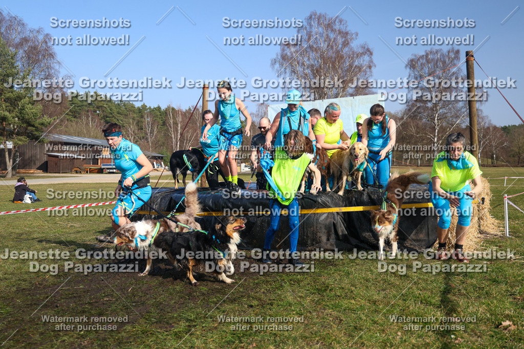 Dog Paparazzi - Strongdog North Mrz26-3286 | Dog Paparazzi Jeanette Grottendiek Fotografie & Videografie - Realisiert mit Pictrs.com