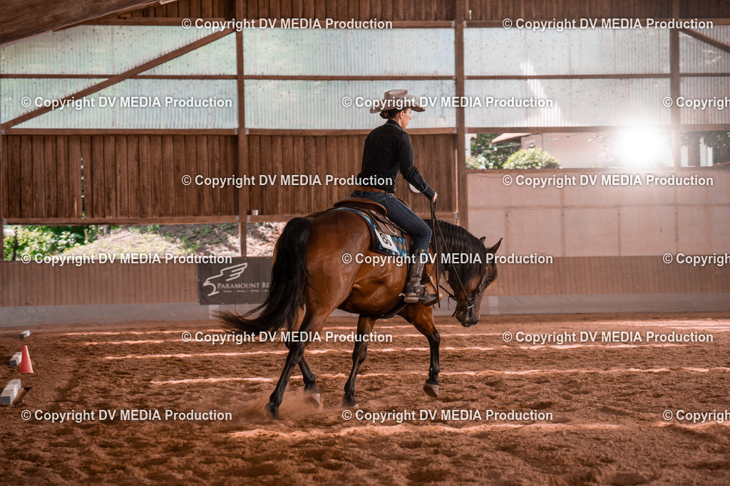 NE100560 | dv-media-shop - Realisiert mit Pictrs.com