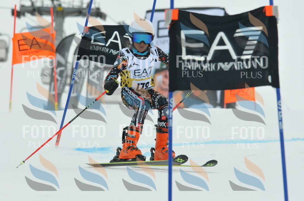 DSC_8649 | holidayphoto