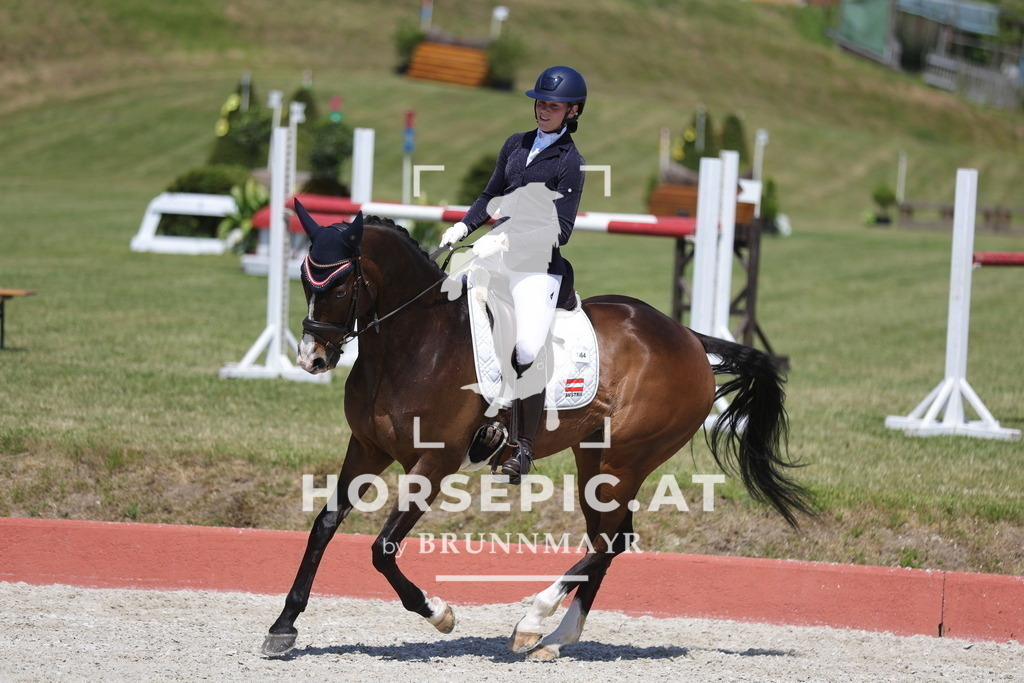 0P6A7033 | Willkommen bei Brunnmayr - Design & Fotografie – Ihrem Spezialisten für Reitturniere und Pferdeveranstaltungen in Oberösterreich, Salzburg und Bayern! Seit über 17 Jahren sind wir leidenschaftlich dabei.