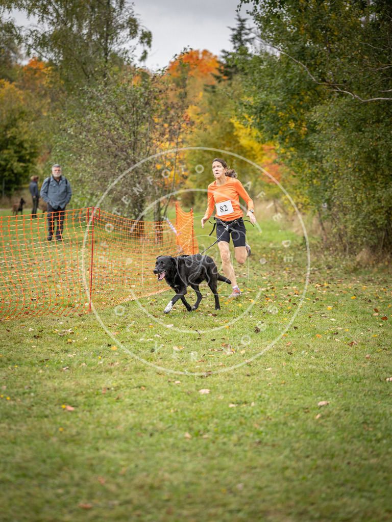 Pfotenfotografie_DV3A3069 | Hundefotografie, Tierfotograf, Pfotenfotografie, Fotoshooting Hund, Hunde Portrait, Hundesport, Hundeportraits, Heideshooting, Hunde, Sportfotograf, Hundefotograf, Turnierhundsport, THS,  - Realisiert mit Pictrs.com