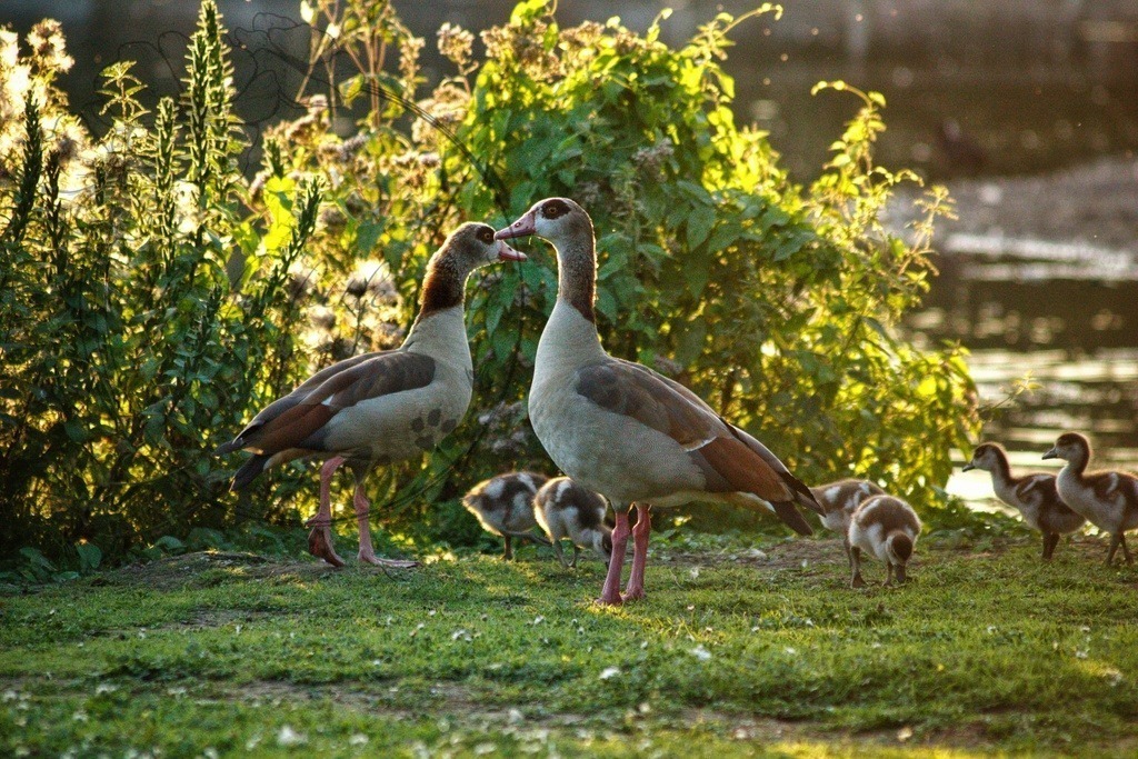 IMG_6697-01 | only.this.little.world - Realisiert mit Pictrs.com