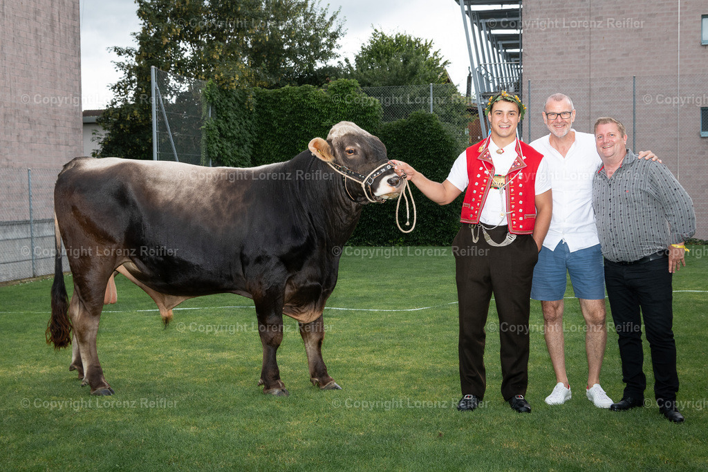 Schwingen -  NOS 2024 | Meilen, 30.6.24, Schwingen - NOS.