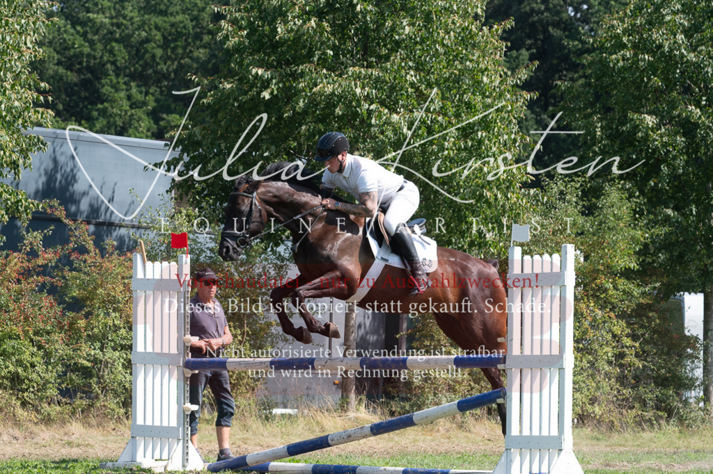 DSC_0786 | Pferde- und Turnierfotografie in Westsachsen. Pferdeportraits, Auftragszeichnungen und intuitive Kunst.
