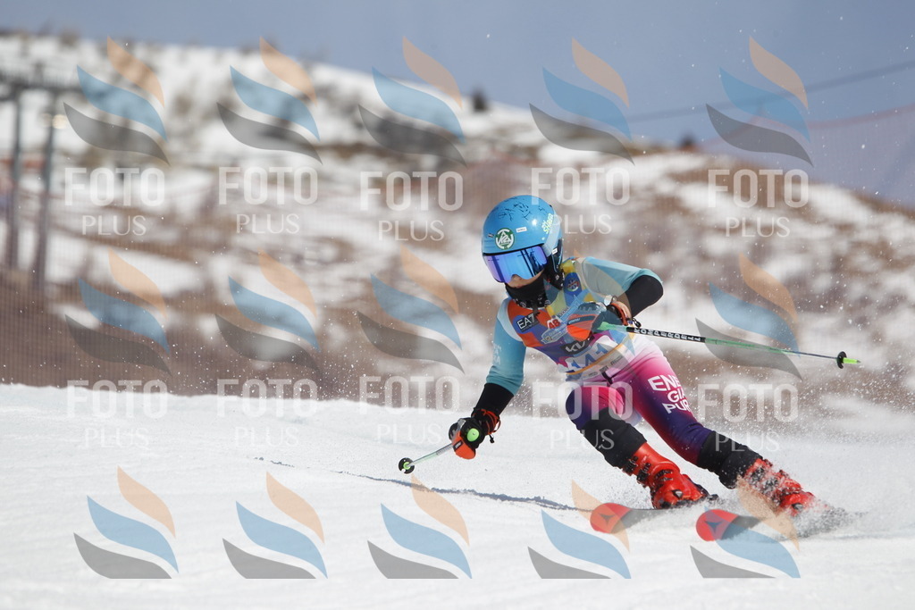 _U3G1046 | holidayphoto