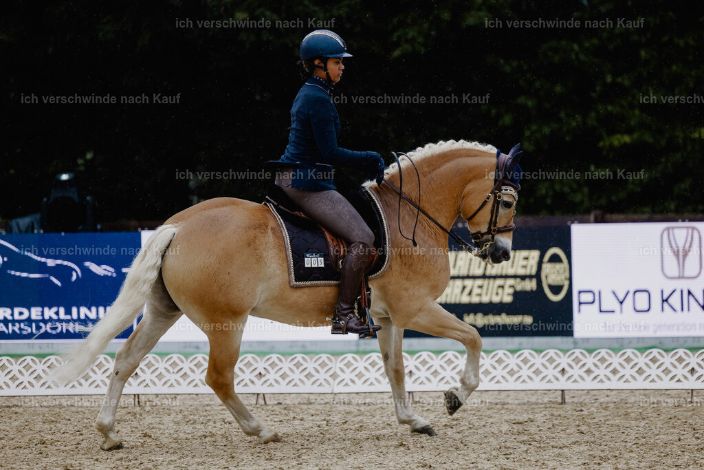 Tanesha5FHC2025-24853 | working equitationturnier fotograf videograf stoibphotography marixx film working equitation deutschland reitsport turnierfotografie eventfotografie equestrian events