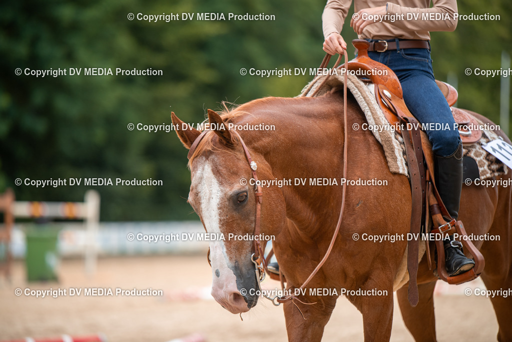 ZS2_8092 | dv-media-shop - Realisiert mit Pictrs.com