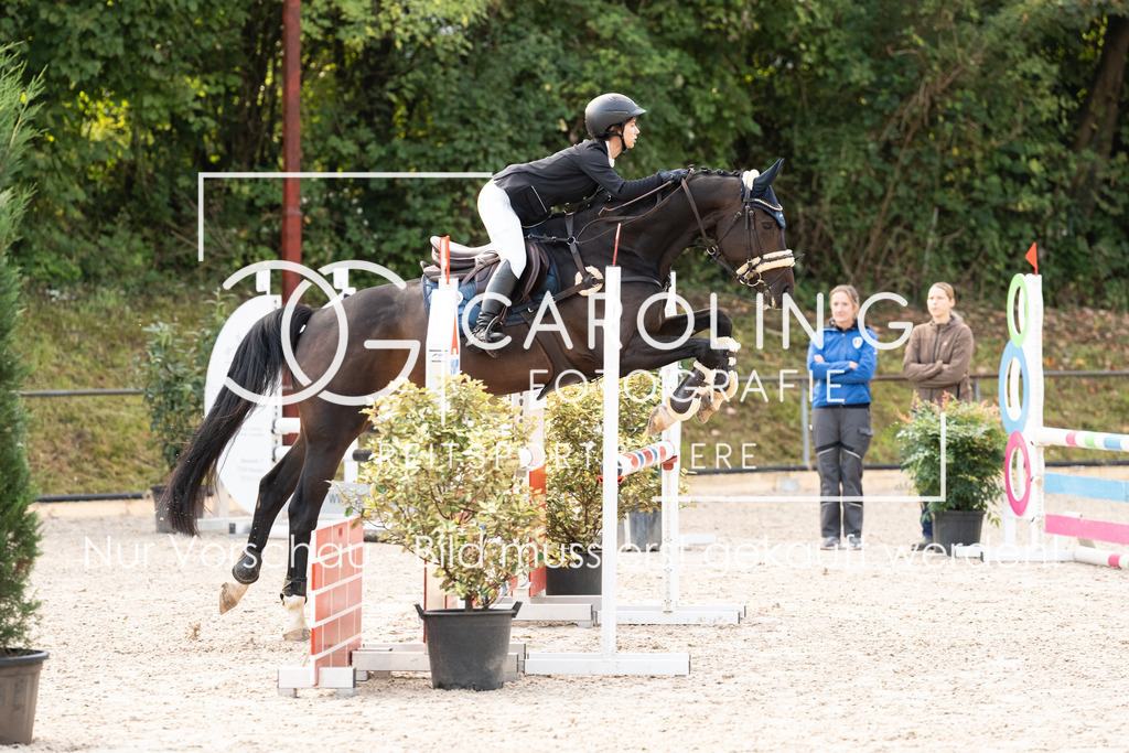 DSC01674 | Carolin Gieschke