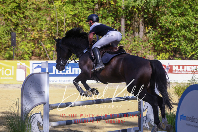 DKP43429 | Turniersportfotografie; Pferdefotografie; Dressurfotografie