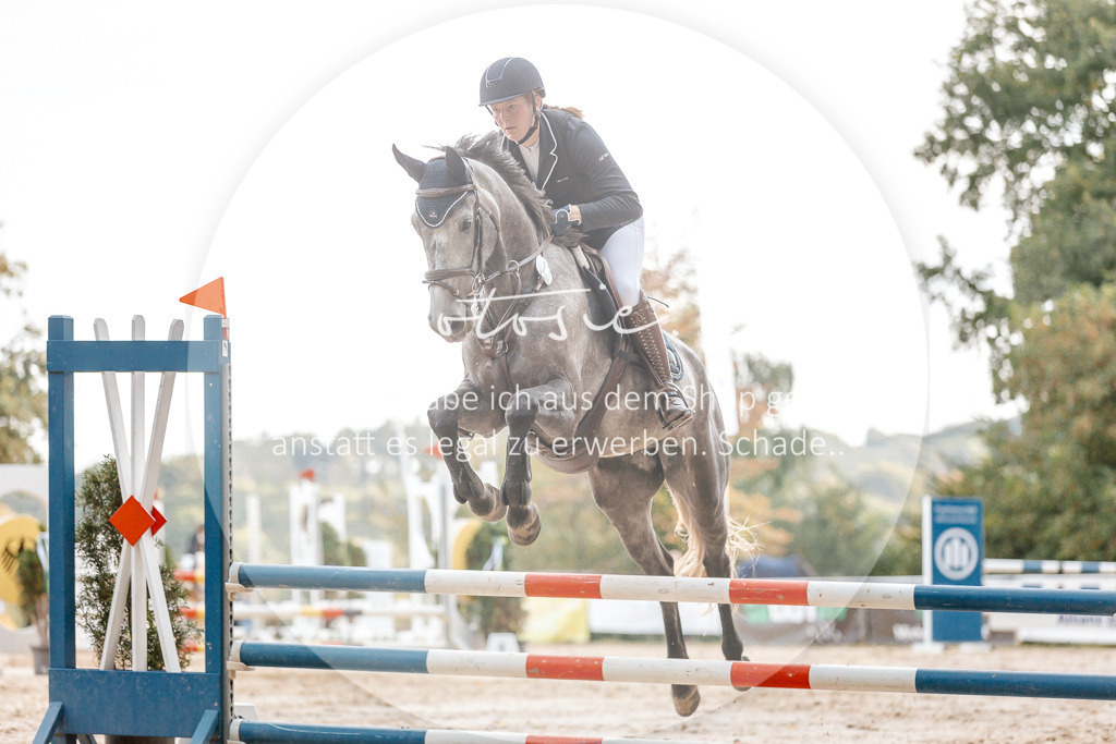 3I6A2185 | Stimmungsvolle Portraits und Reitsportfotografie im Ruhrgebiet und im Münsterland.

Pferdefotografie, Hundefotografie, Tierfotografie, Reportagen, Portraits von Tier und Mensch, Turnierfotografie in Bochum, Recklinghausen, Marl, Haltern am See, Dülmen.. - Realisiert mit Pictrs.com
