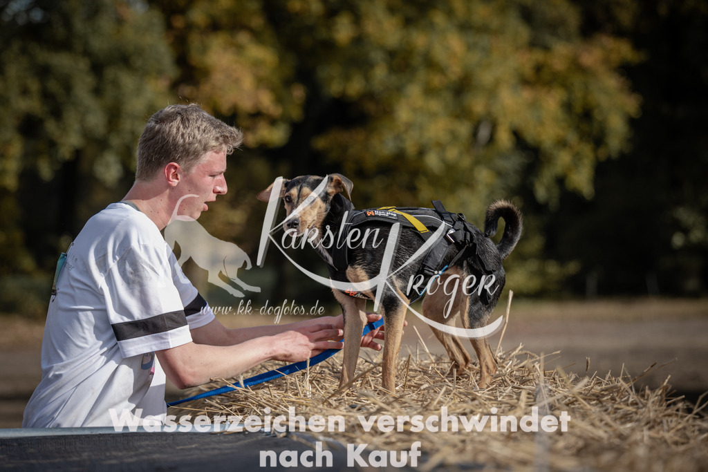 1212_ZZ93637 | kk-dogfotos