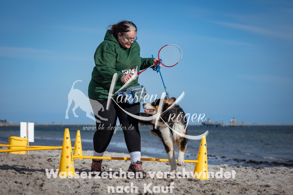 1352_ZZ94134 | kk-dogfotos