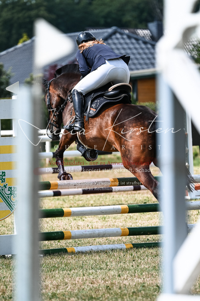 DSC_8865 | Pferde- und Turnierfotografie in Westsachsen. Pferdeportraits, Auftragszeichnungen und intuitive Kunst.