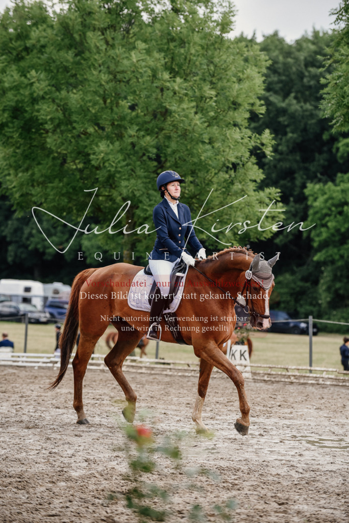 DSC_9951 | Pferde- und Turnierfotografie in Westsachsen. Pferdeportraits, Auftragszeichnungen und intuitive Kunst.