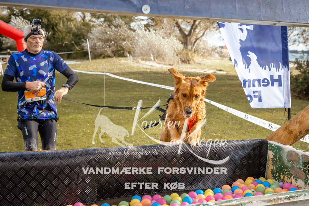 1522_ZZ96560 | kk-dogfotos