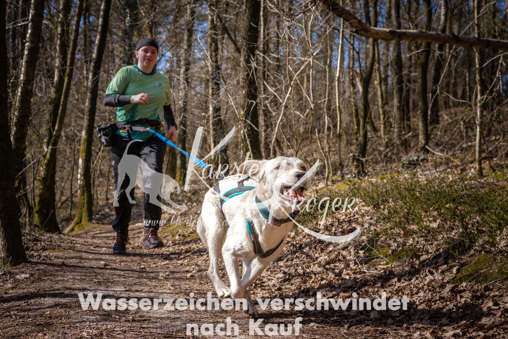 1124_ZZ97955 | kk-dogfotos