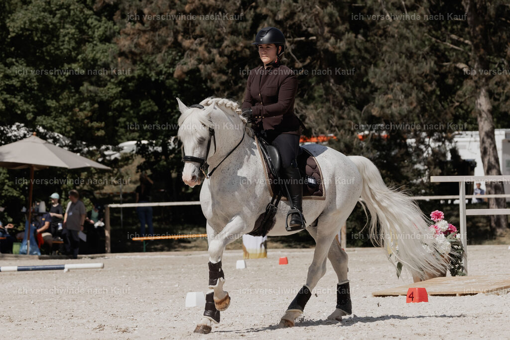 WE_ST_Stoib_318_PI2025_960 | Pferd International München 2025