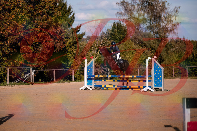 2026_10_03_Siefer-Hof_171546_Z81_13268465 | Professionelle Reitsport-, Turnier- und Eventfotografie von Robert Broda. Galerien mit ausgewählten und bearbeiteten Bildern direkt online ansehen und bestellen.