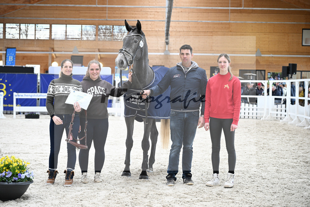 Kat-Nr. 5 Geyers Larimar v. Cizero Z_Geyer_5251518 | hf-fotografie - Realisiert mit Pictrs.com