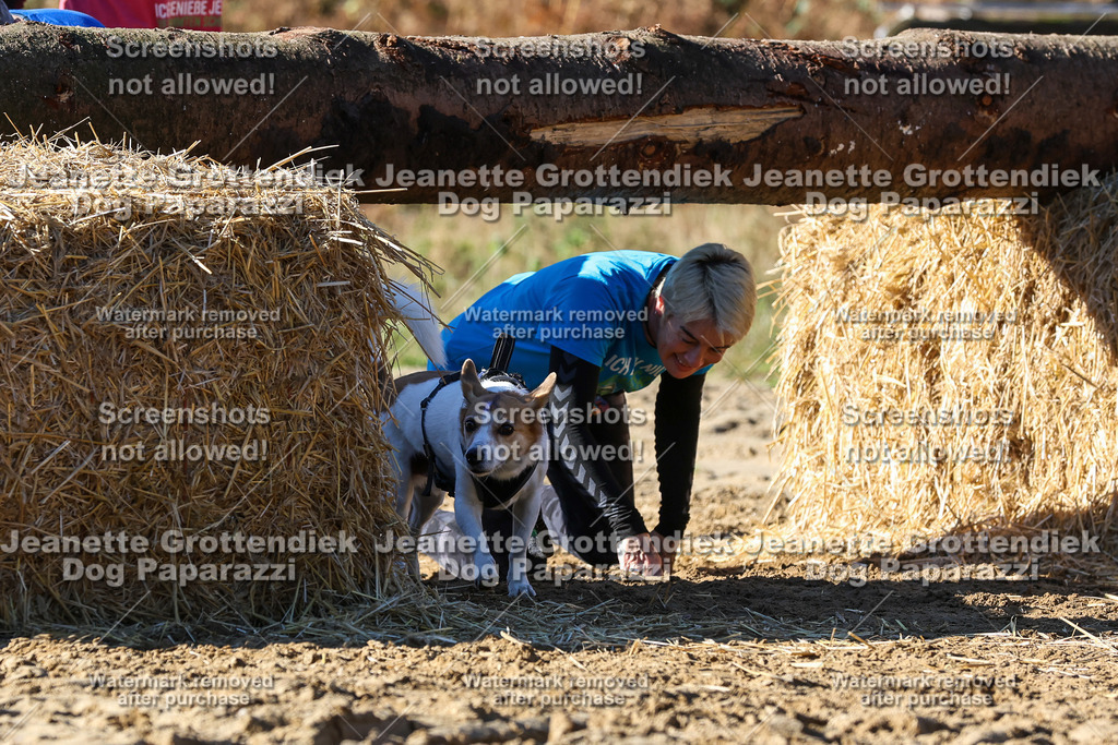 Dog Paparazzi - Strongdog 10-25-2660 | Dog Paparazzi Jeanette Grottendiek Fotografie & Videografie - Realisiert mit Pictrs.com