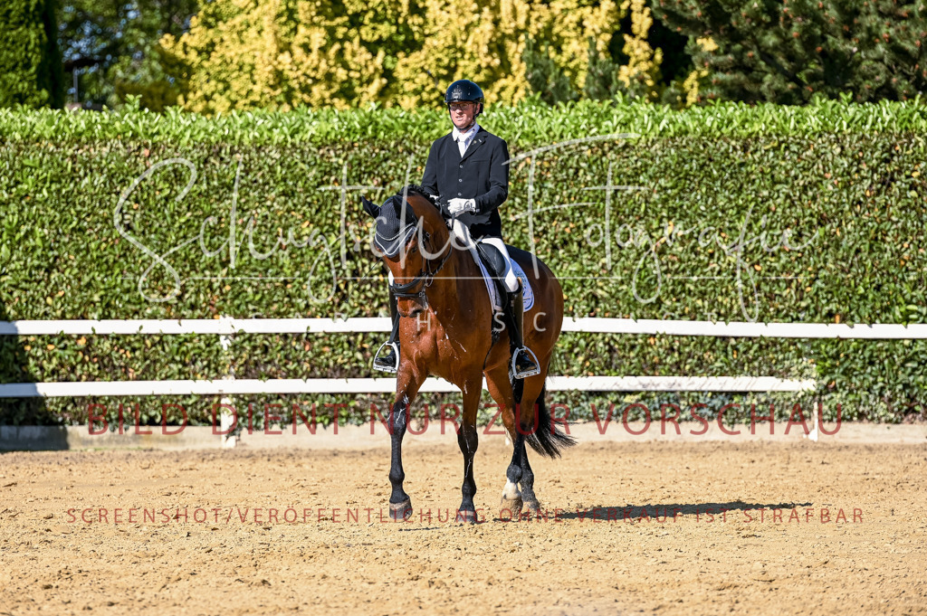 Schugtsche-Aluta25-50.Dressurpferdeprf.L-251 | Schugtsche Fotografie - Realisiert mit Pictrs.com