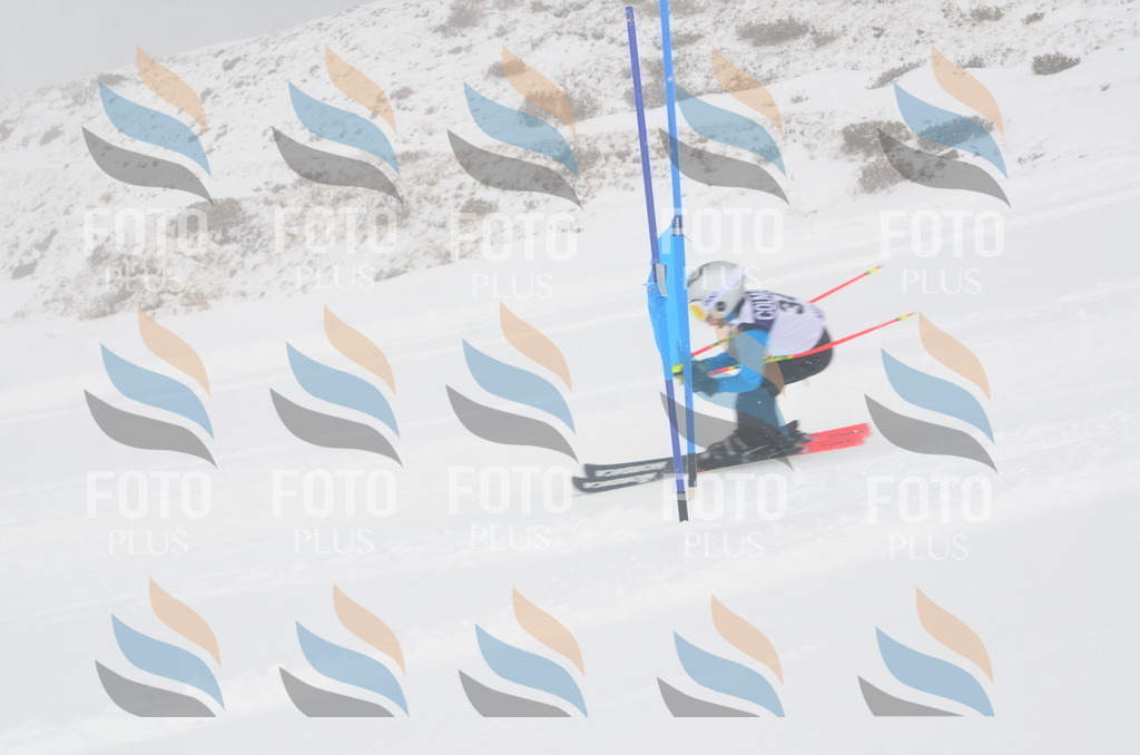 A5274 | holidayphoto