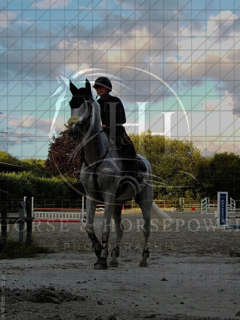 1787944893___C1130508 | handhphotographie - Realisiert mit Pictrs.com