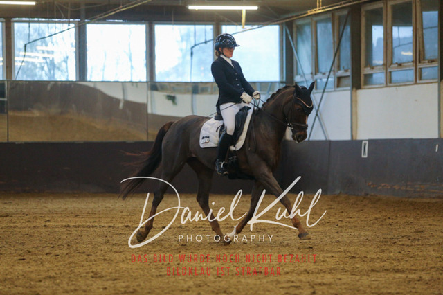 IMG_7501 | Turniersportfotografie; Pferdefotografie; Dressurfotografie