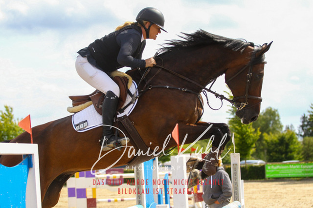 Monschau25_PktM_0130 | Turniersportfotografie; Pferdefotografie; Dressurfotografie