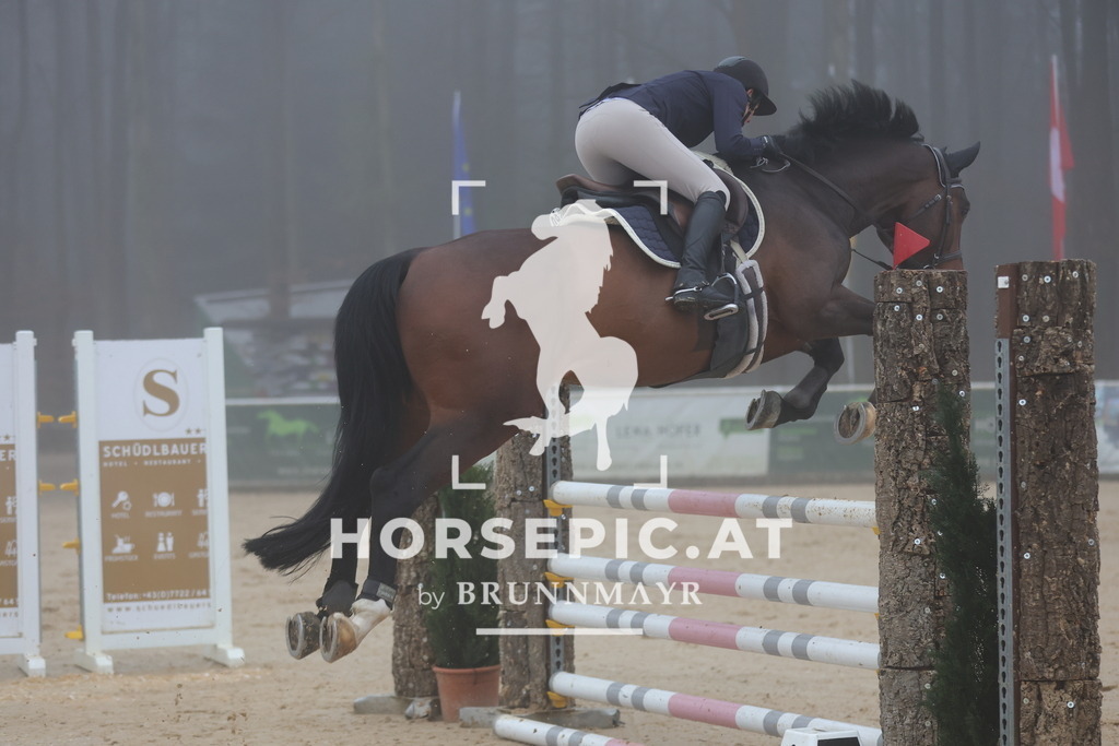 0P6A7898 | Willkommen bei Brunnmayr - Design & Fotografie – Ihrem Spezialisten für Reitturniere und Pferdeveranstaltungen in Oberösterreich, Salzburg und Bayern! Seit über 17 Jahren sind wir leidenschaftlich dabei.