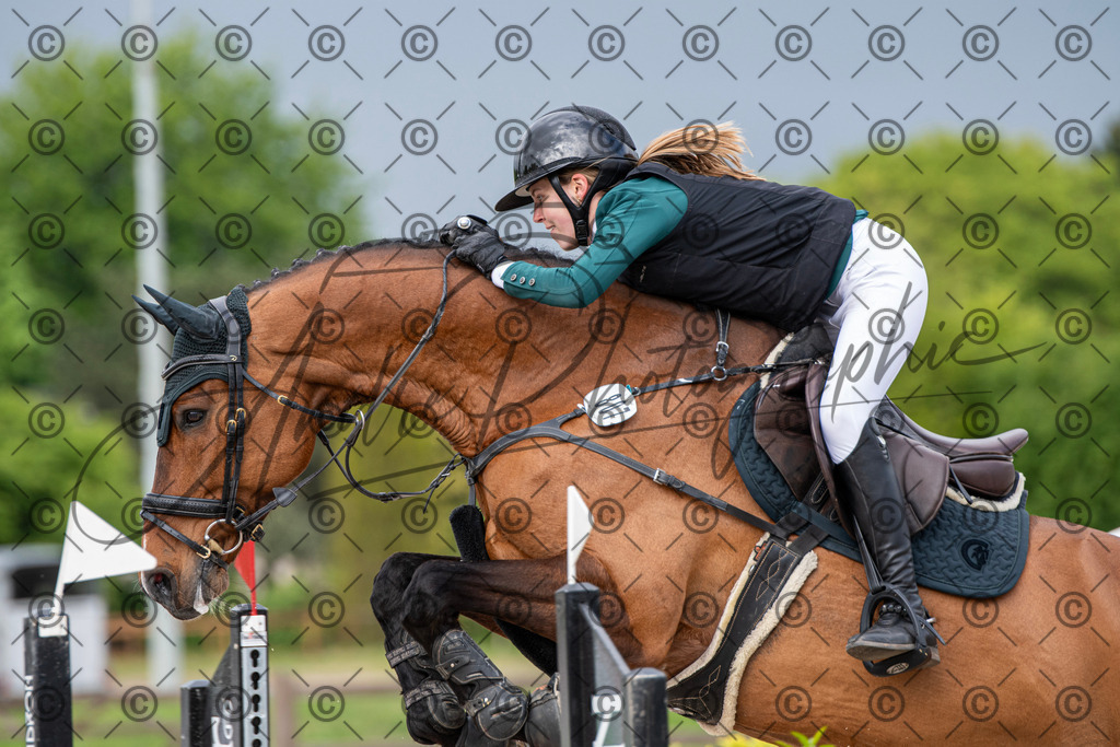 KPT_0248 | andre_photographic