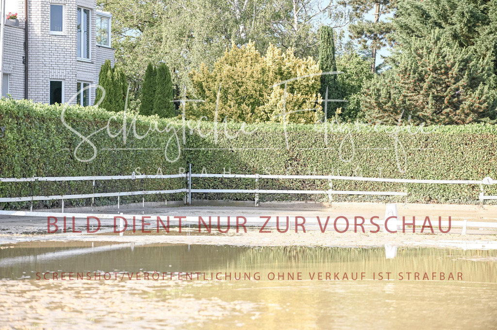 Schugtsche-Aluta25-54.Dressurprf.L1Trense-295 | Schugtsche Fotografie - Realisiert mit Pictrs.com