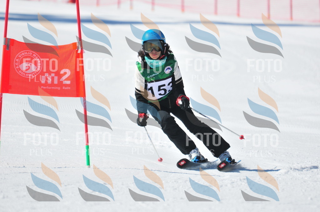 C4079 | holidayphoto