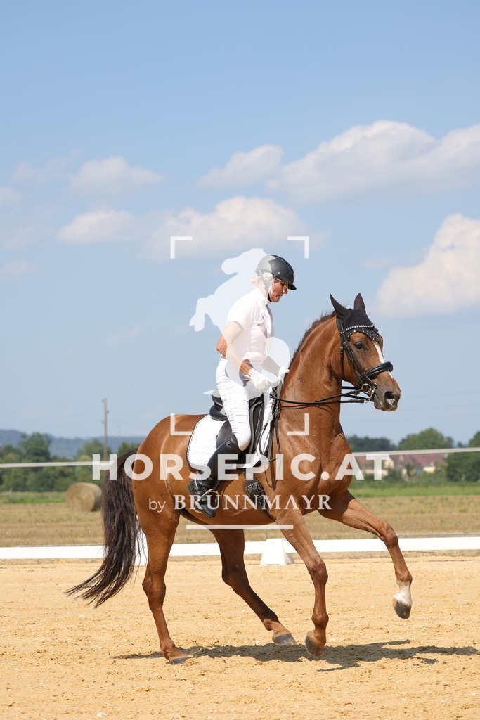 0P6A7620 | Willkommen bei Brunnmayr - Design & Fotografie – Ihrem Spezialisten für Reitturniere und Pferdeveranstaltungen in Oberösterreich, Salzburg und Bayern! Seit über 17 Jahren sind wir leidenschaftlich dabei.