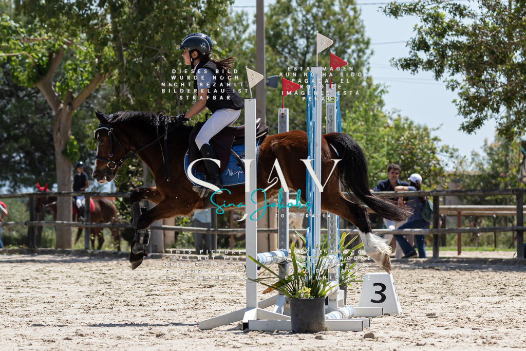 IMG_0235 | s-jay-photography - Realisiert mit Pictrs.com