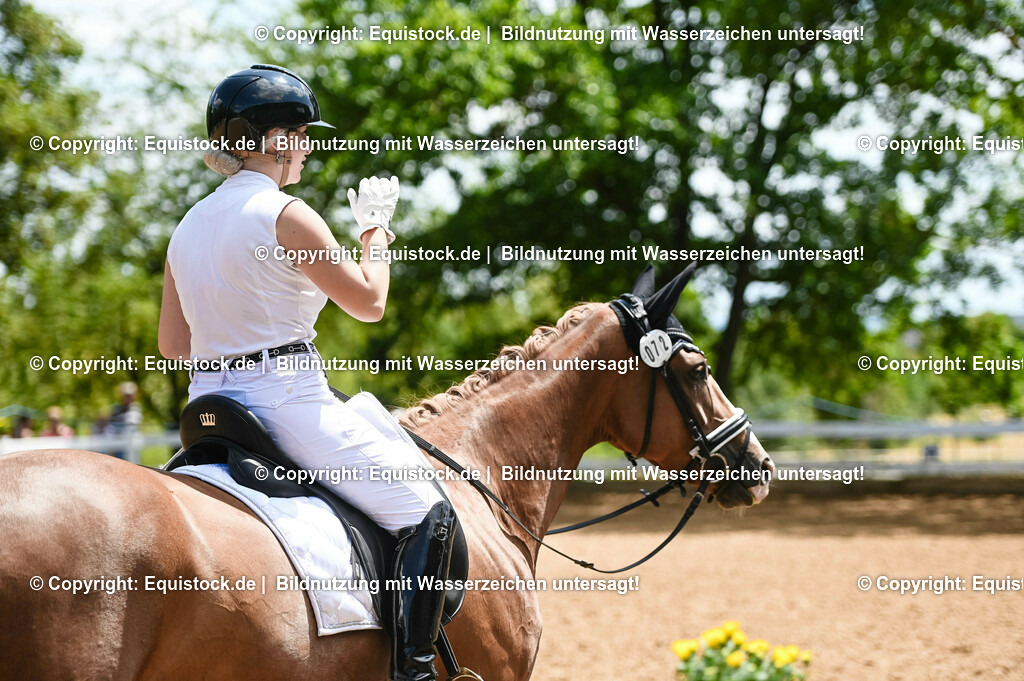 20230716_03_Dressurprfg. Kl.L - Tr._0553 | equistock