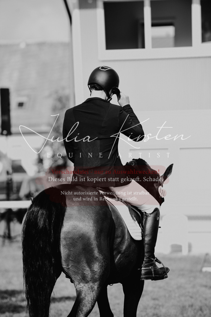 DSC_8714 | Pferde- und Turnierfotografie in Westsachsen. Pferdeportraits, Auftragszeichnungen und intuitive Kunst.