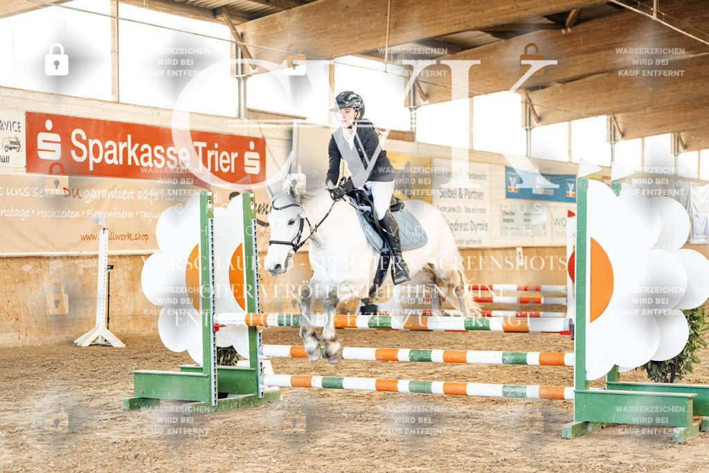 CK904060 | Turnierfotografie Pferdefotografie Trier Rheinland-Pfalz Pferdesport Reitsport Tierfotografie Sportfotografie Pferdevideo Pferdevideografie Equestrianvideography equestrianphotography  - Realized with Pictrs.com