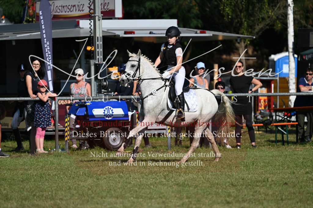 DSC_5269 | Pferde- und Turnierfotografie in Westsachsen. Pferdeportraits, Auftragszeichnungen und intuitive Kunst.