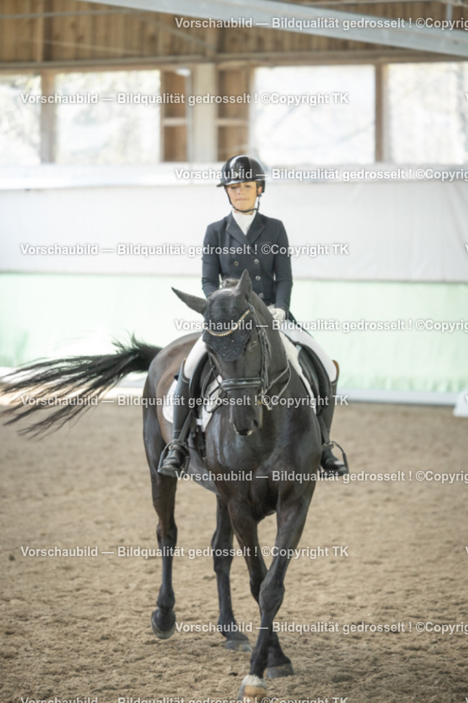 _D5A1682 | Emotionale Pferde- & People-Fotografie rund um Heidelberg, Leimen & Umgebung. Natürliche Fotos von Pferd, Mensch & Familie. Jetzt Termin sichern!