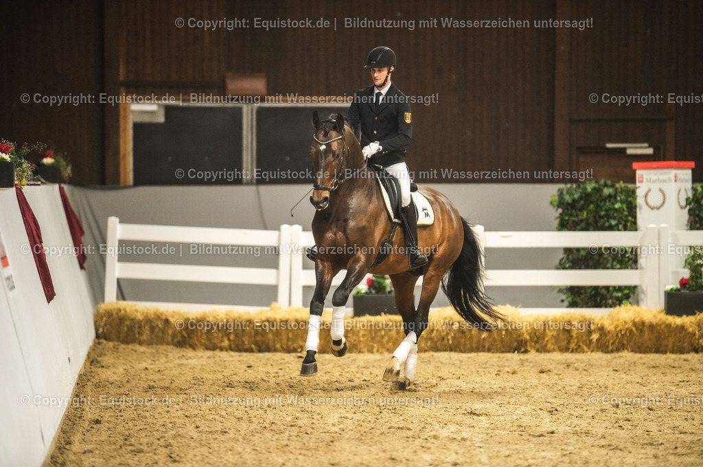 20240302_Hengstvorstellung_Marbach_TOMsPiC_1220-2 | equistock