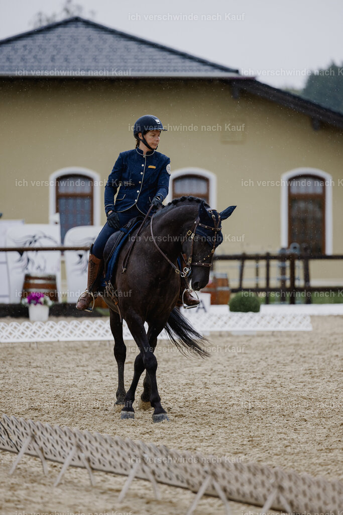 Mirjam25_FHC2025-24907 | working equitationturnier fotograf videograf stoibphotography marixx film working equitation deutschland reitsport turnierfotografie eventfotografie equestrian events