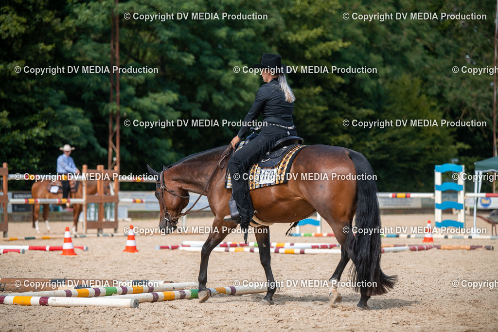 EWP_6791 | dv-media-shop - Realisiert mit Pictrs.com