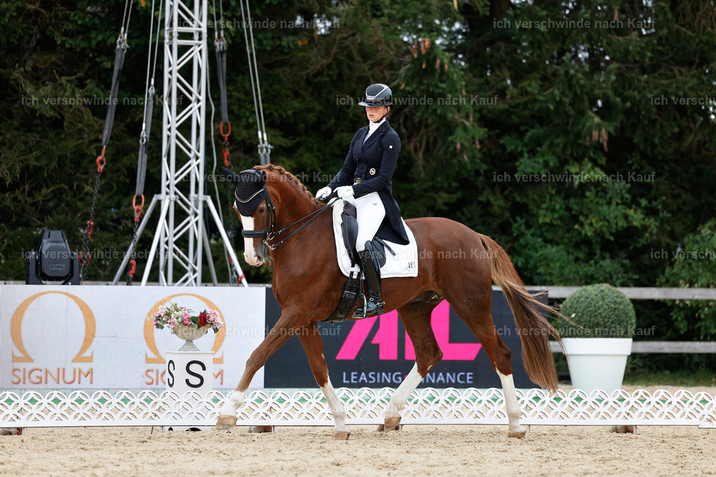 11-201-Dressur S___-StoibPH-932 | working equitationturnier fotograf videograf stoibphotography marixx film working equitation deutschland reitsport turnierfotografie eventfotografie equestrian events