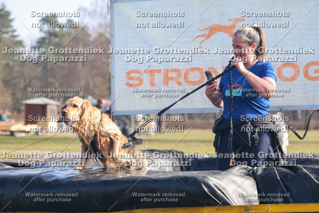 Dog Paparazzi - Strongdog North Mrz26-878 | Dog Paparazzi Jeanette Grottendiek Fotografie & Videografie - Realisiert mit Pictrs.com