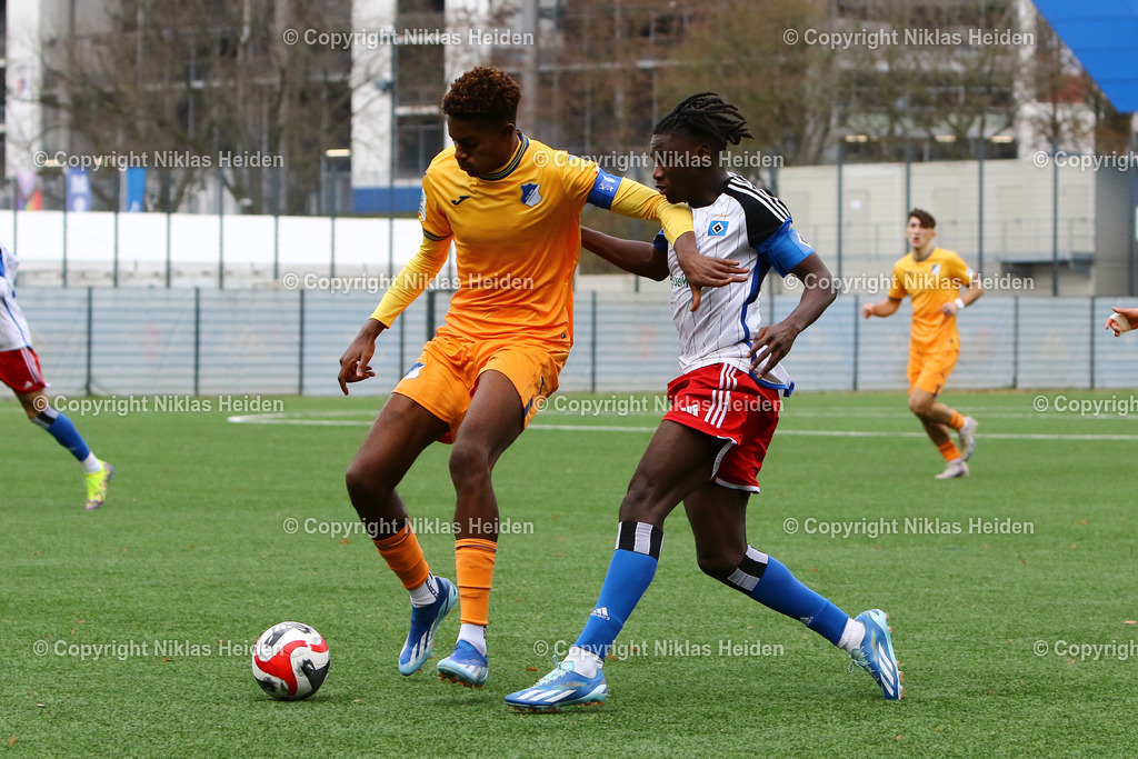 NH_HamburgerSVU19_TSG1899HoffenheimU19_JuniorenDFBPokal_17122023 | #11 Fabio Balde (Hamburger SV U19), #5 Kelven Frees (TSG 1899 Hoffenheim U19)

Viertelfinale I Junioren DFB-Pokal I 17.12.2023