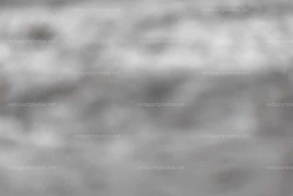 JoYaR3_Heidehof_00052 | JoYa Fotografie - Realisiert mit Pictrs.com